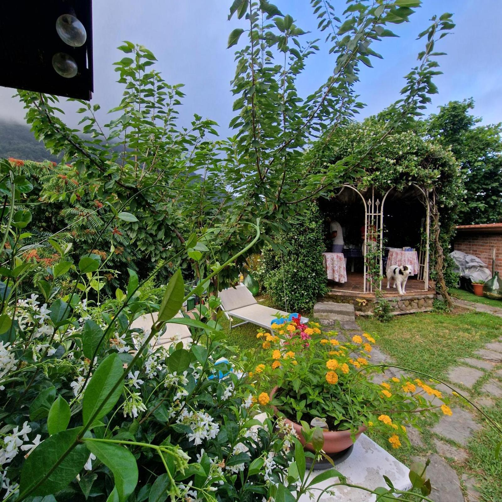 Jasmine Cottage Luni Exterior foto